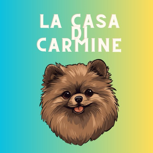 La Casa Di Carmine